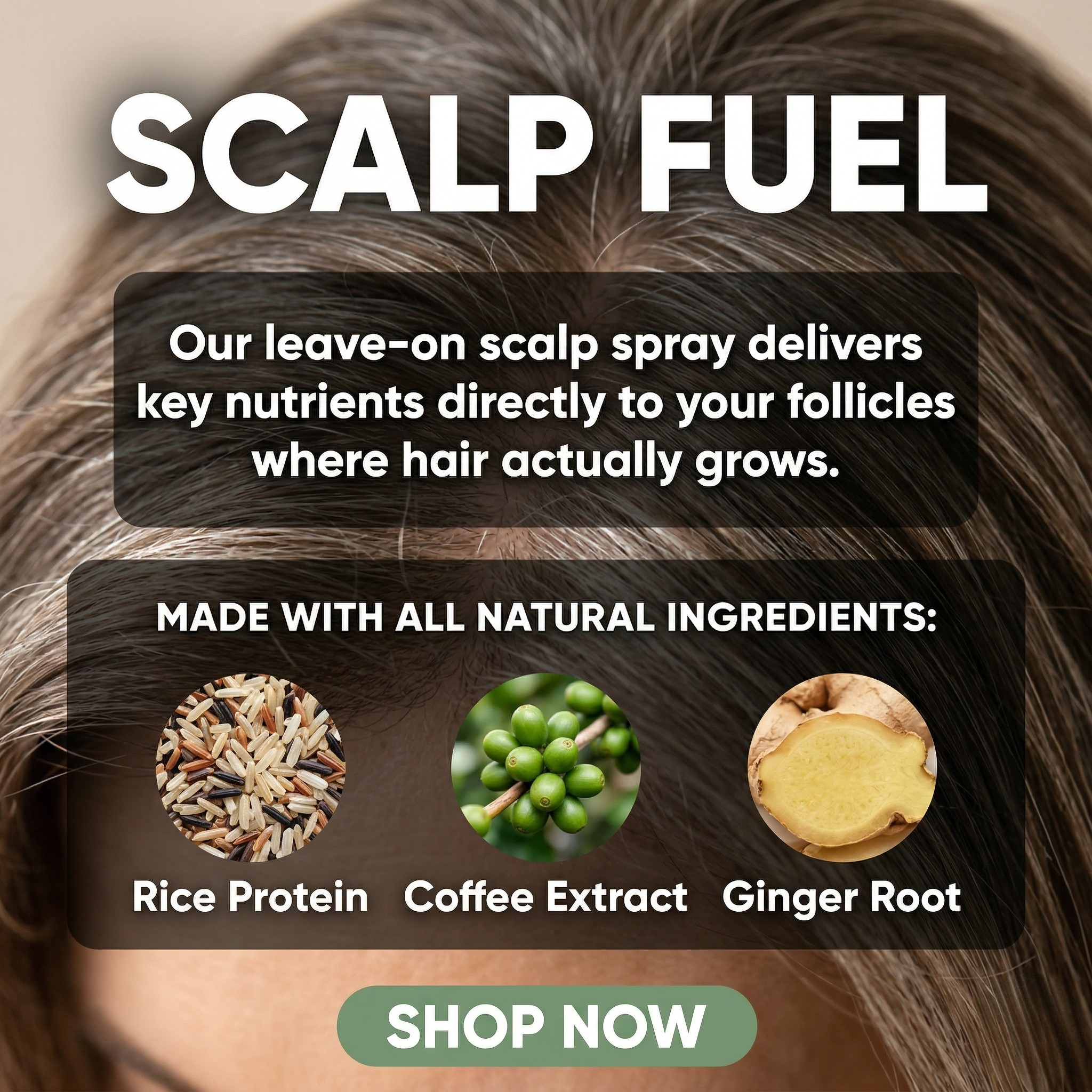 Follicare Root Reset — Scalp-First Leave-On Treatment